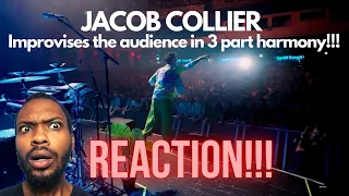 MANLEY'S REACTION | Jacob Collier conducts: The Audience Choir (Live at O2 Academy Brixton, London)!