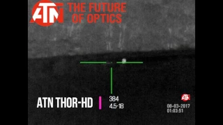 Rimfire coyote kill with the ATN Thor-HD