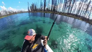 Crater Lake and Spring Creek