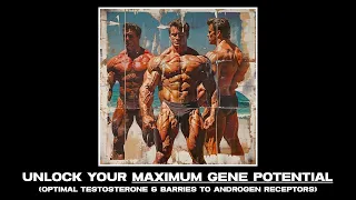 Optimal masculine gene expression. Get the most out of your DNA heritage.