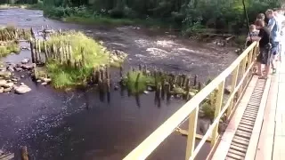 Russian boy jump from The bridge