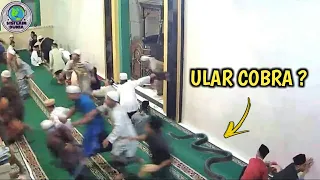 Jamaah Sholat Jumat Tiba² Berlarian! Muncul Ular Hitam Besar Dari Atas Plafon Masjid,Terekam CCTV