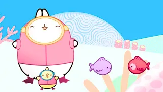 Molang & Piu Piu's Fish Friend | Season 1 Episode 8 | Funny Animal Cartoon For Kids