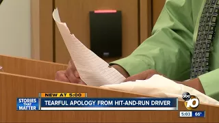 Tearful apology from hit-and-run driver