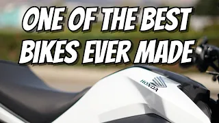 The Honda Grom Deserves An Award - One Of The Best Bikes Ever?