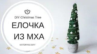 Как сделать декоративную елку из мха❄️Елочка своими руками❄️DIY Christmas Tree