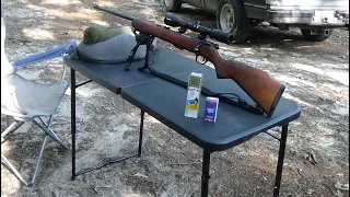 Testing Aguila Subsonic 22LR and CCI Standard with a Savage Mark 2