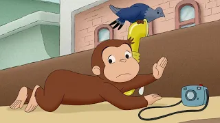 Spy Monkey 🐵 Curious George 🐵 Kids Cartoon 🐵 Kids Movies