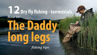 How to • Dry fly fishing - Terrestrials • The Daddy long legs • fishing tips