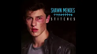 Shawn Mendes - Stitches (5.1 Surround Sound)