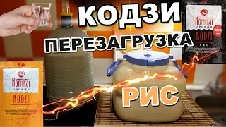 Кодзи: Перезагрузка / Спиртовые дрожжи кодзи Nomikai / Самогон из риса