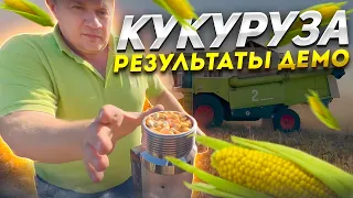 Результаты демо опыта кукурузы ДКС