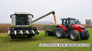 Maisdreschen mit einem Claas Tucano 430 und Olimac Drago Maispflücker | Maisernte | Mähdrescher