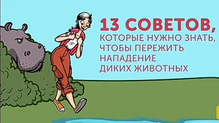 13 СОВЕТОВ, которые нужно знать, чтобы пережить нападение диких животных