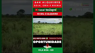 Fazenda à Venda em Goiás 644 Alqueires em Vila Boa - GO #shorts #tec2agro