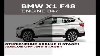 BMW X1 F48 20d отключение AdBlue и Stage 1 / BMW X1 F48 20d AdBlue off and Stage 1