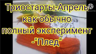 День 2/Триостарты-Апрель/Эксперимент🤔💥🎉