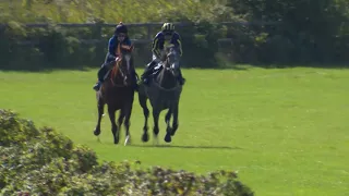 Kvallopp 190908 Göteborg Galopp