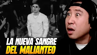 Coreano reacciona a LA NUEVA SANGRE DEL MALIANTEO de Puerto Rico 🤯🔥 Dei V, Chris Jedi, Gaby Music