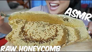 ASMR EXTREME RAW & FRESH Honeycomb (STICKY EATING SOUNDS) No Talking | SAS-ASMR *Part 3*