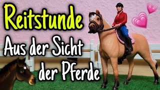 Reitstunde aus der Sicht der Pferde 👀🐴 | Reitunterricht #3