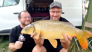 comment pêcher la carpe en canal