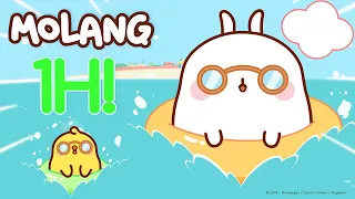 Molang - An Endless Summer ! 🌊