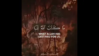 Surah At-Tawbah | Verse 51 | Sheikh Mishary Bin Rashid Alafasy