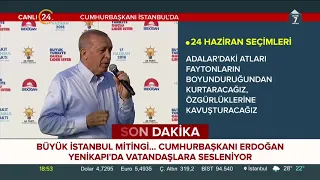 Cumhurbaşkanı Erdoğan: Adalar'daki atları özgürlüklerine kavuşturacağız