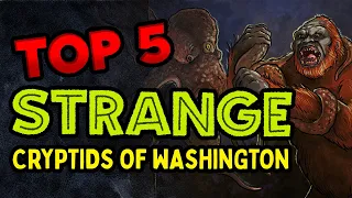 Top 5 STRANGE Cryptids of Washington