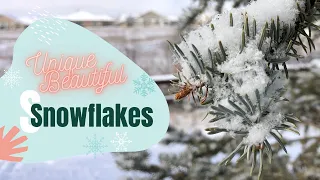 Snowflakes are Unique and Beautiful! - God's World