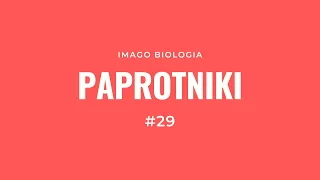 Paprotniki