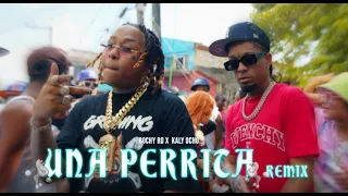 Rochy RD  ❌ Kaly Ocho 🎱 - Una Perrita 🐩 Remix (Video Oficial)