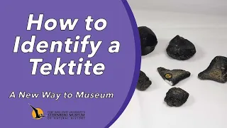 How to Identify a Tektite | A New Way to Museum