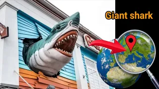I found giant Shark funny statue on google map and google earth #map #earthsecret377 #earth