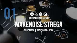 Make Noise Strega | First Patch | with Todd Barton