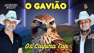 O GAVIÃO (Pancadão Caipira) - Os Caipira Top 2024 #oscaipiratop #modao #remixsertanejo #remixcaipira