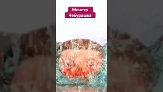 Появился МОНСТР ЧЕБУРАШКА #maryana #likee #a4 #shorts