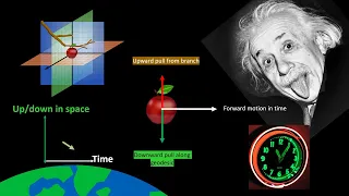 How Time Dilation Causes Gravity, and How Inertia Works
