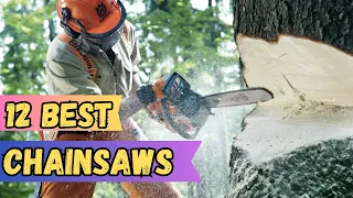 12 Best Pickup Chainsaws Electric Value for Money 2024