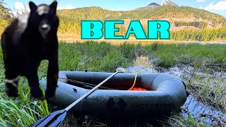 Bear encounter fly fishing a mountain lake.