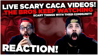 THE BROS KEEP WATCHING SCARY THINGS ON THE INTERNET!! | SCARY LIVE REACTION!!