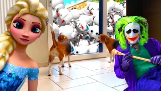 Funny Dogs VS THE JOKER : Saved by ELSA! Louie & Marie