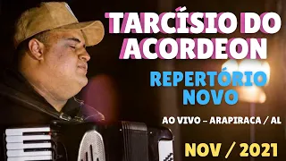 TARCÍSIO DO ACORDEON - AO VIVO EM ARAPIRACA / AL - REPERTÓRIO NOVO