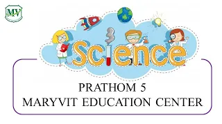 Science P.5 : Week 4 | No.1 Heredity Genetics