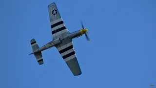 P-51D Mustang ~ Fast Airshow Display