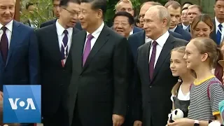 Putin, Xi Admire Pandas at Zoo