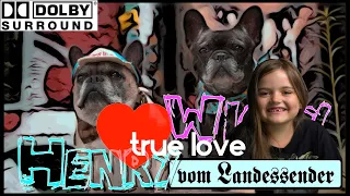 Funny French Bulldogs, Henry & Wicky presented by Liara 4K+Dolbysurround