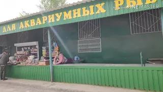 ПТИЧИЙ РЫНОК ОТКРЫЛИ ХАРЬКОВ