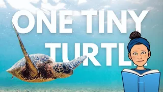 "One Tiny Turtle" Read Aloud